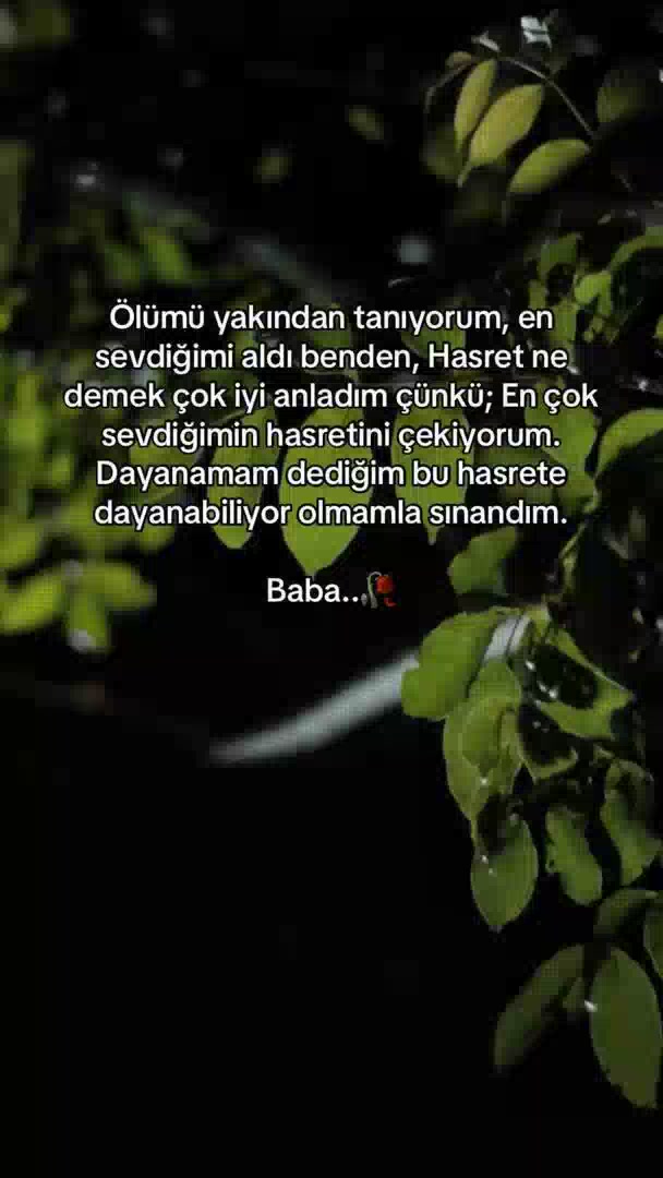 @yakup efe ata