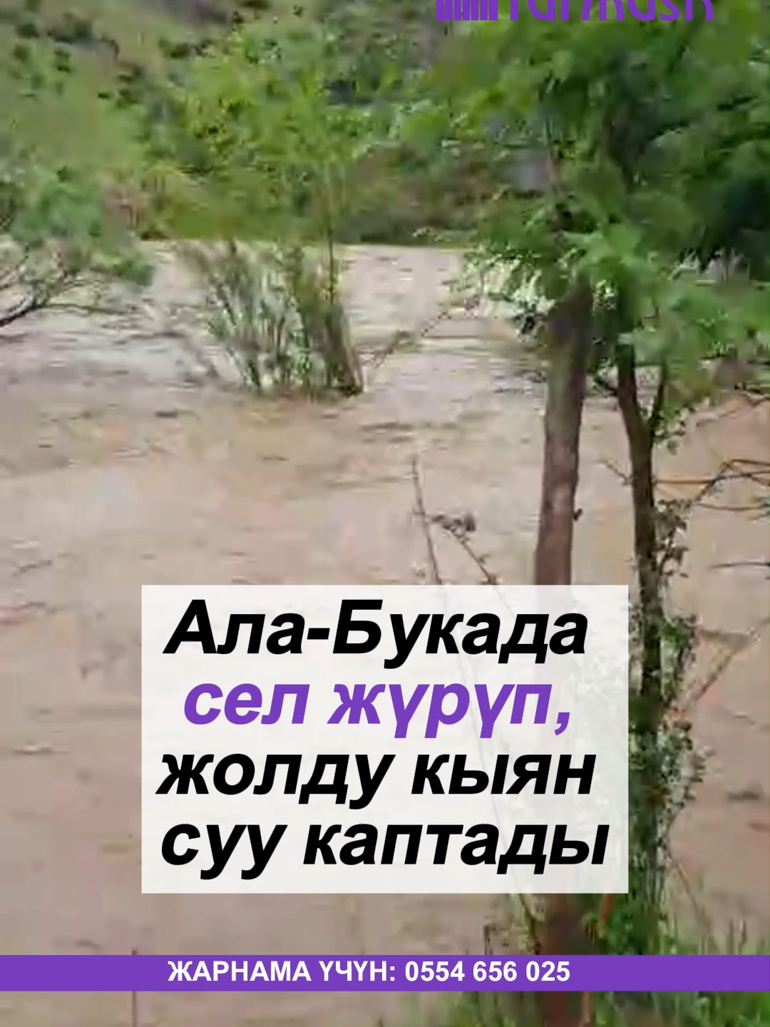 @turmush.kg__