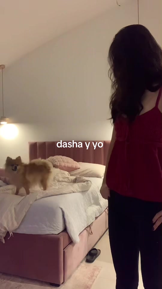 @dash