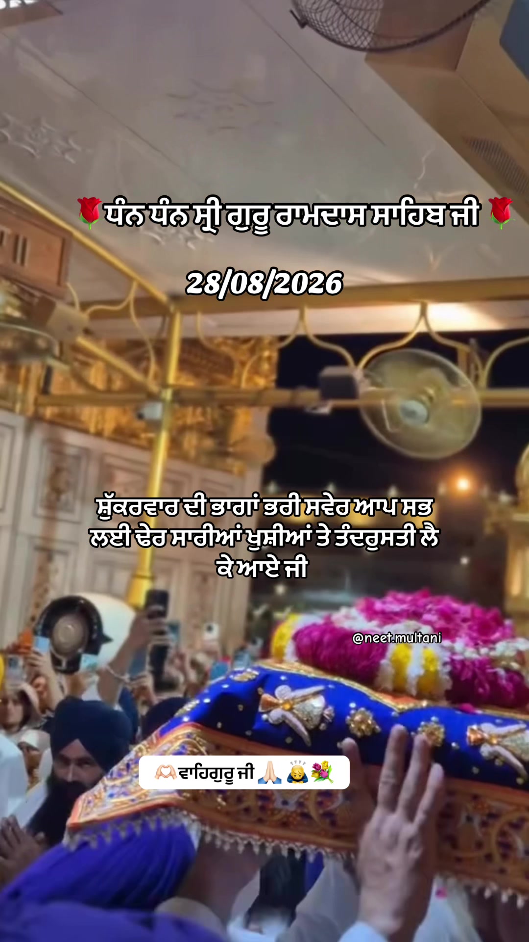 @neet.multani