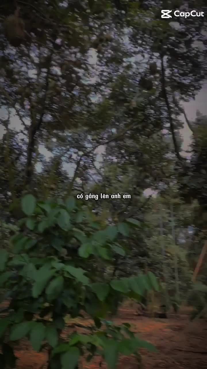 @Vinh Bùa