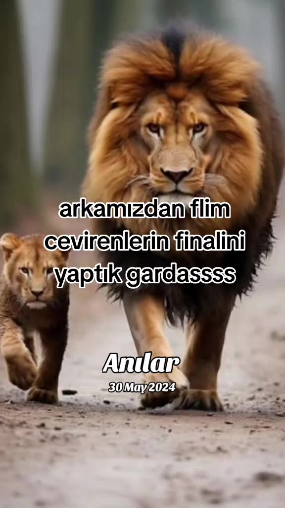 @🇹🇷҉͜͡ CELL@T55🇹🇷҉͜͡✭