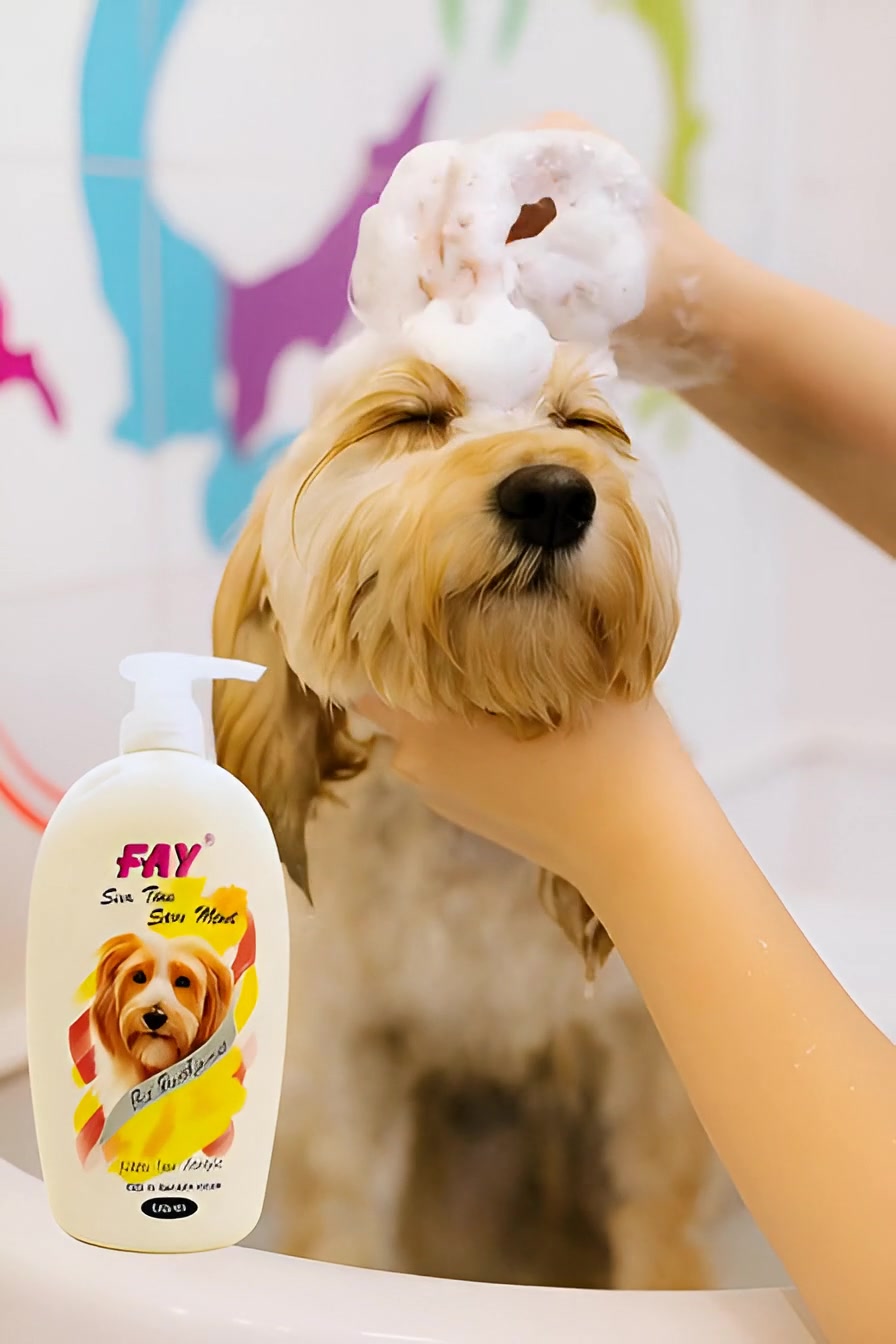 @PetCare