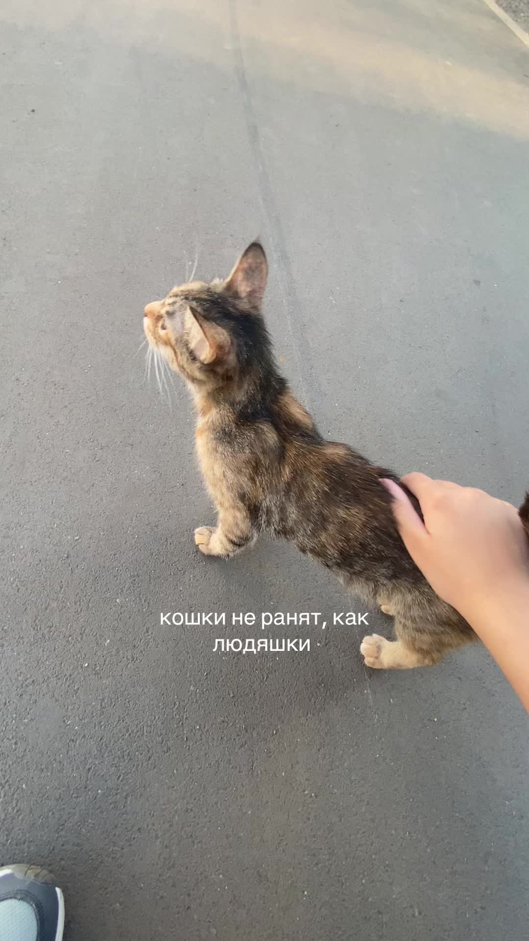 @𝚟𝚟𝚟