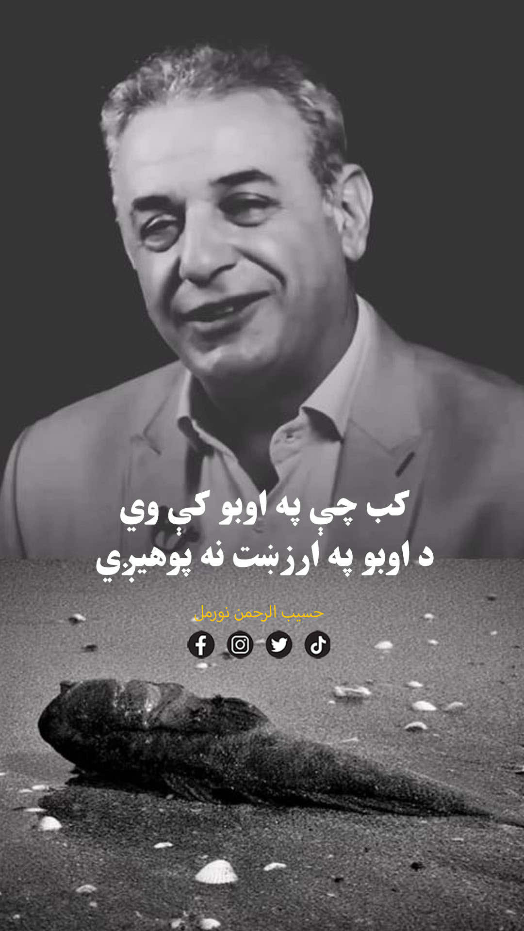 @Hasib Noor Mal