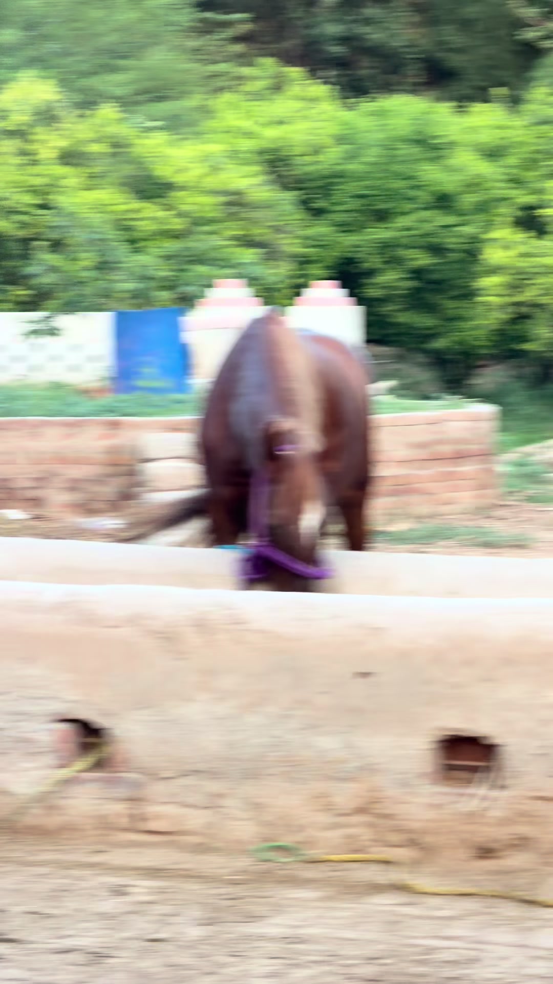 @Faisal Altaf Bosal