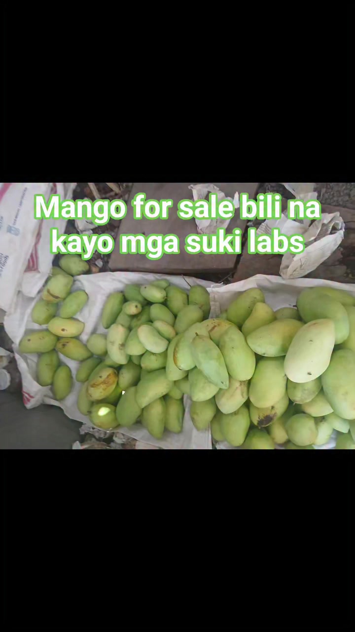@Angelina Agamata