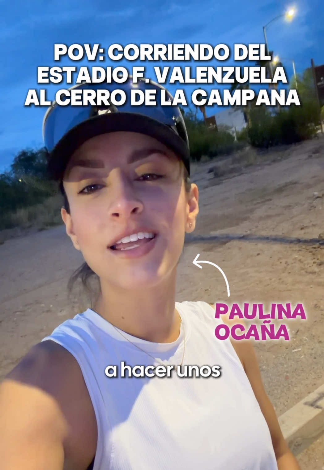 @Paulina Ocaña Encinas