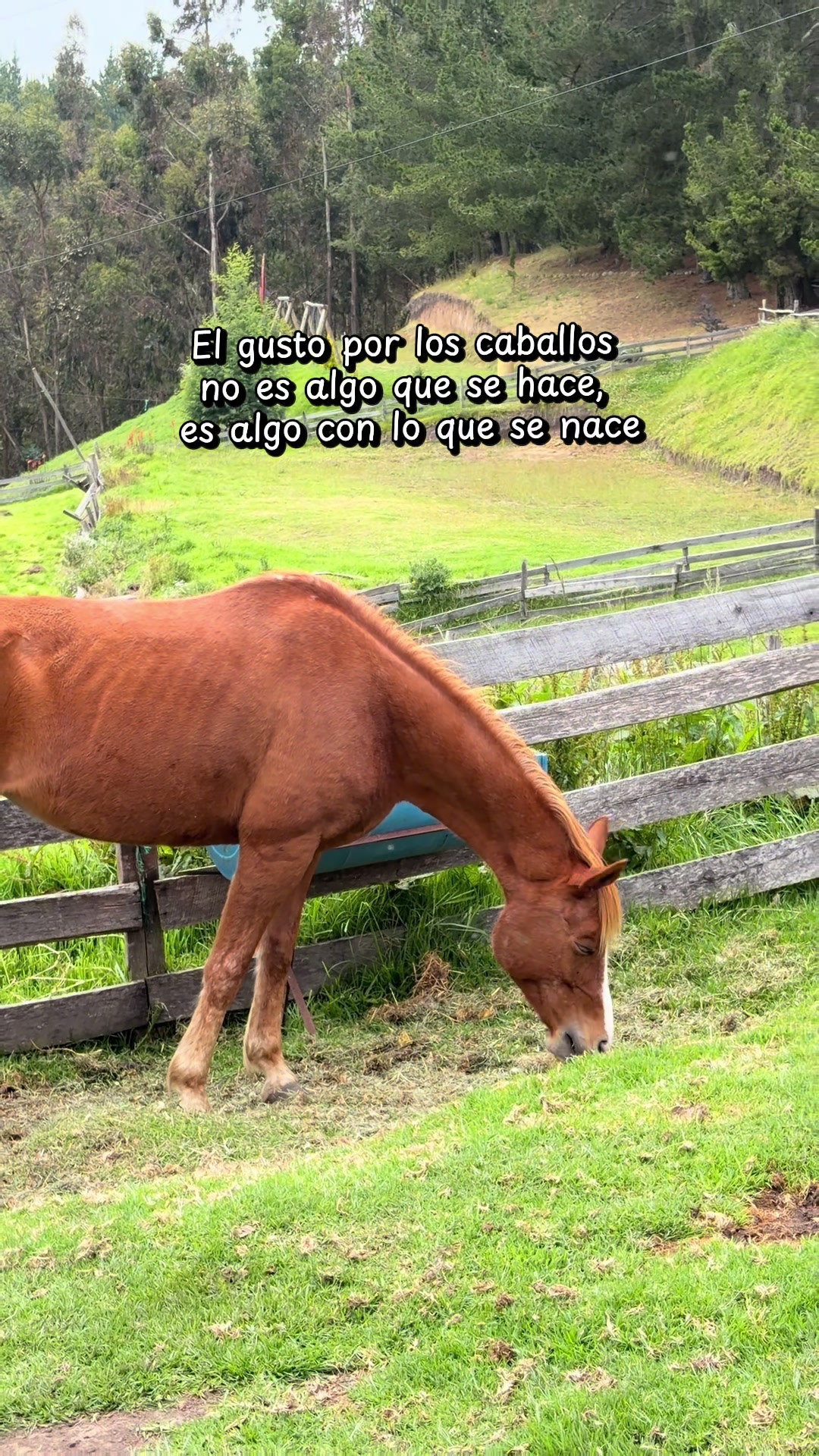 @Cuadra Casa Grande