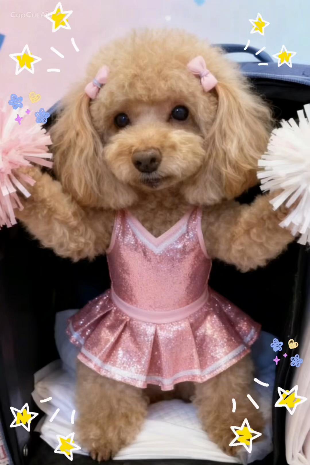 @ðð¥maimai06.27ð¥ð