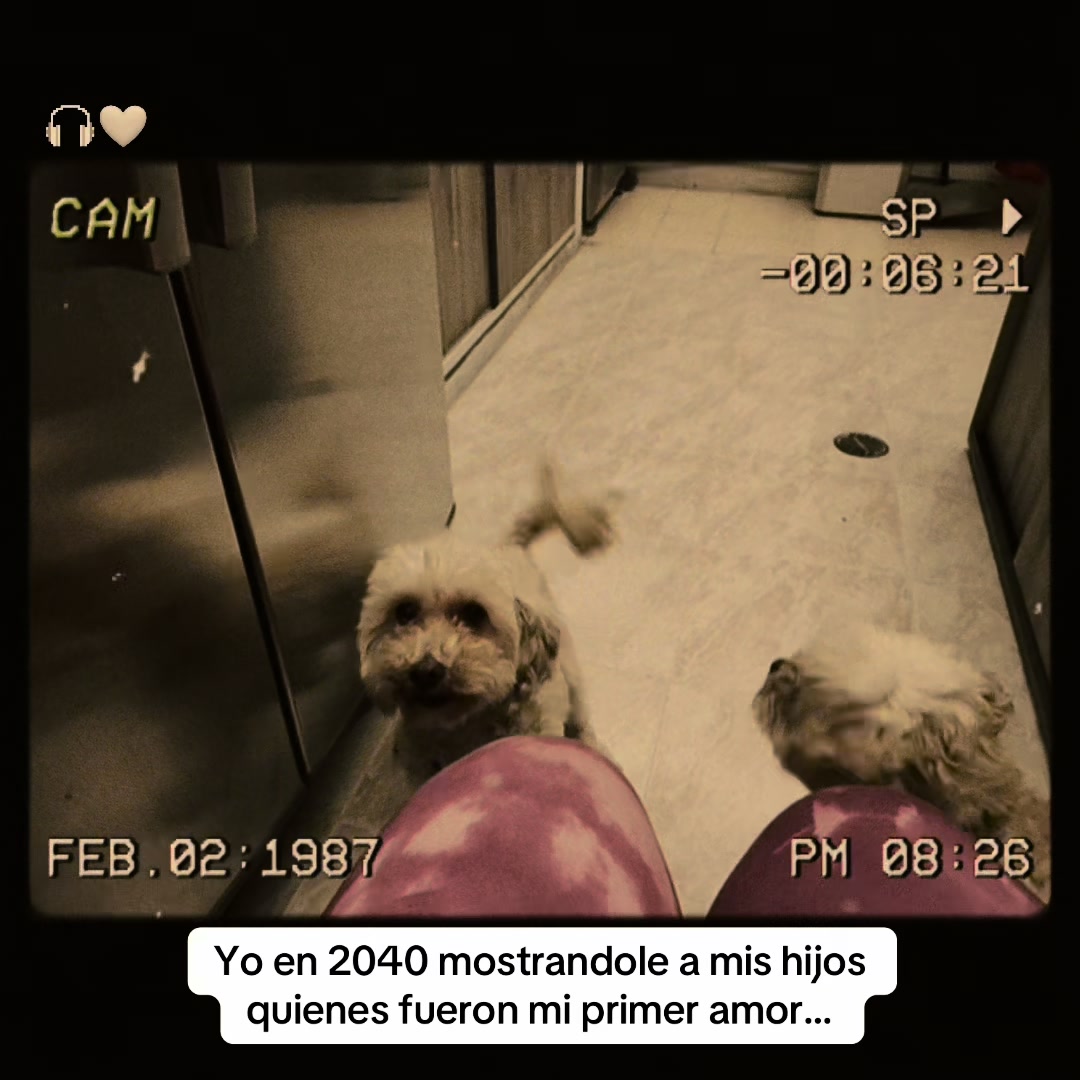 @L A U R A P E Ñ A L O Z A