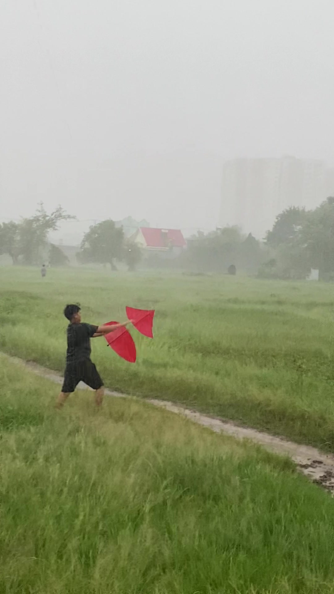 @Thả diều cùng Lợi