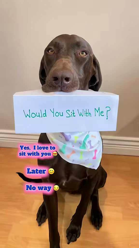 @Rocky_and_mom 🐾❤️🐶