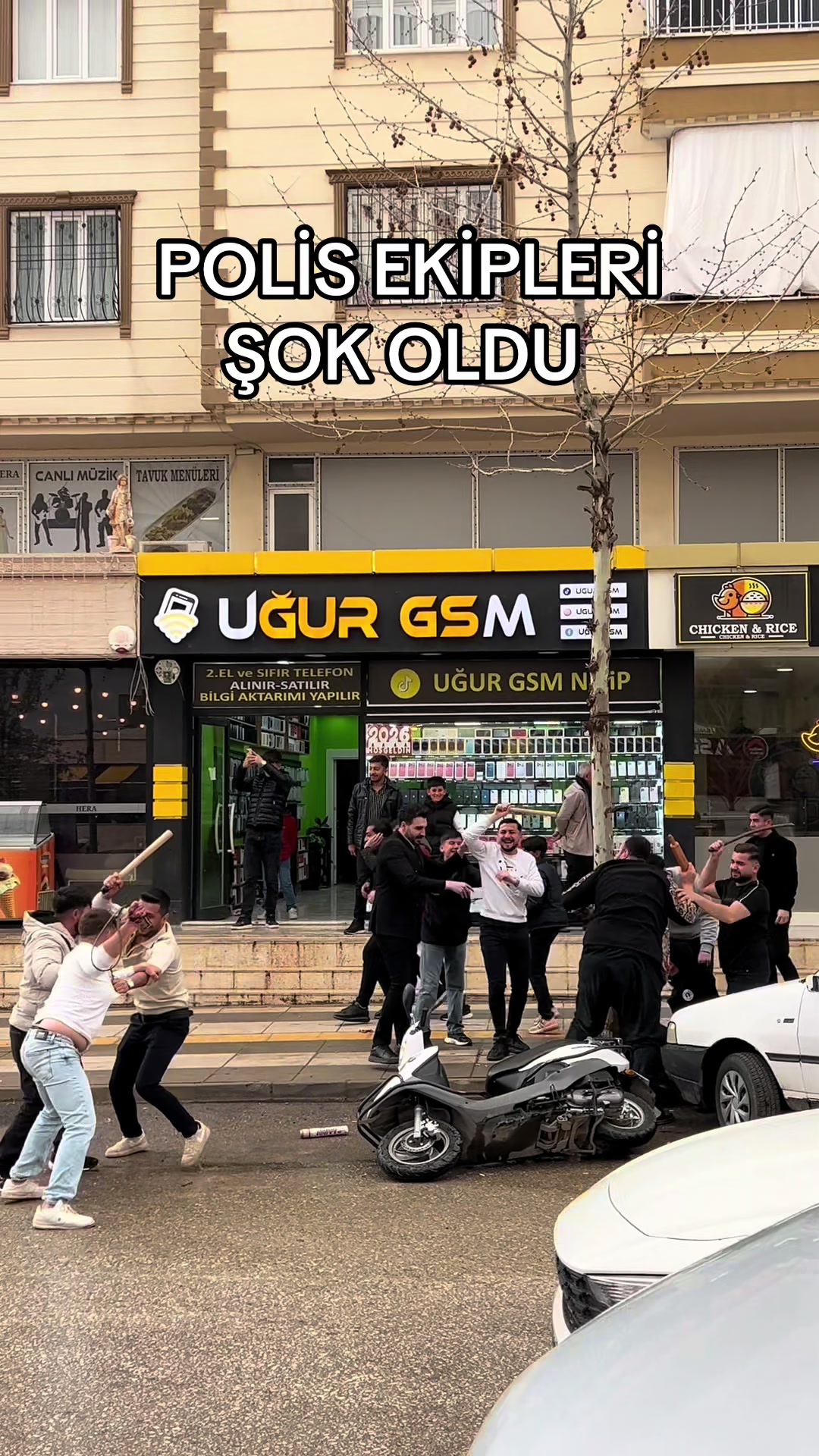 @NİZİPEGLENCE YEREL MEDYA KANAL