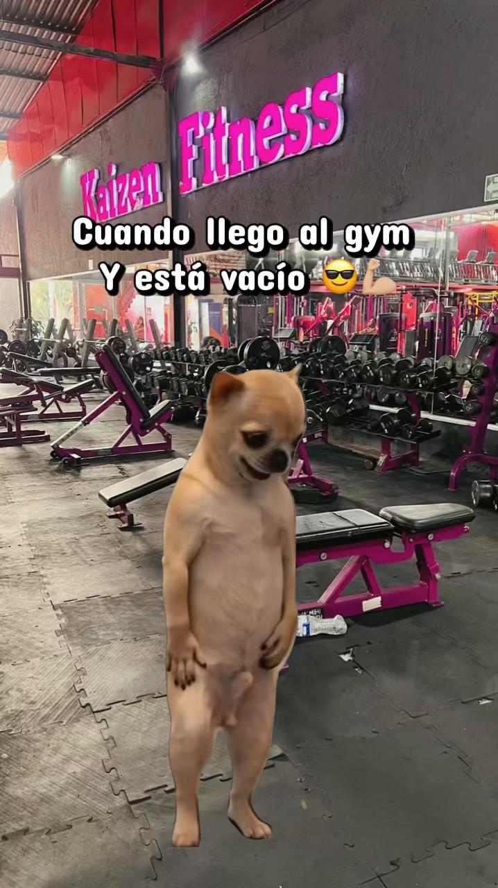 @dannielsferiia
