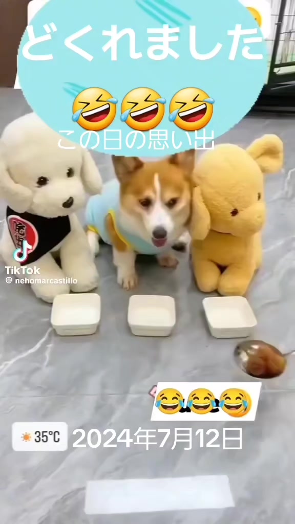 @ひろし❗️