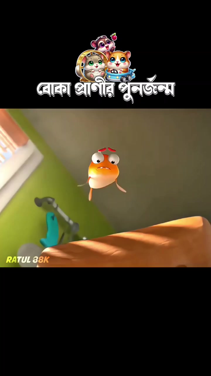 @চিলমারী