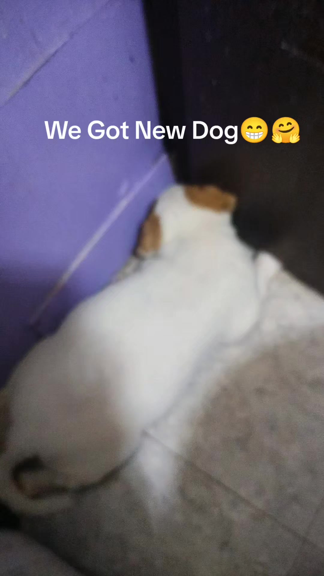 @RHIO920_Smallcreator_Of_Codm