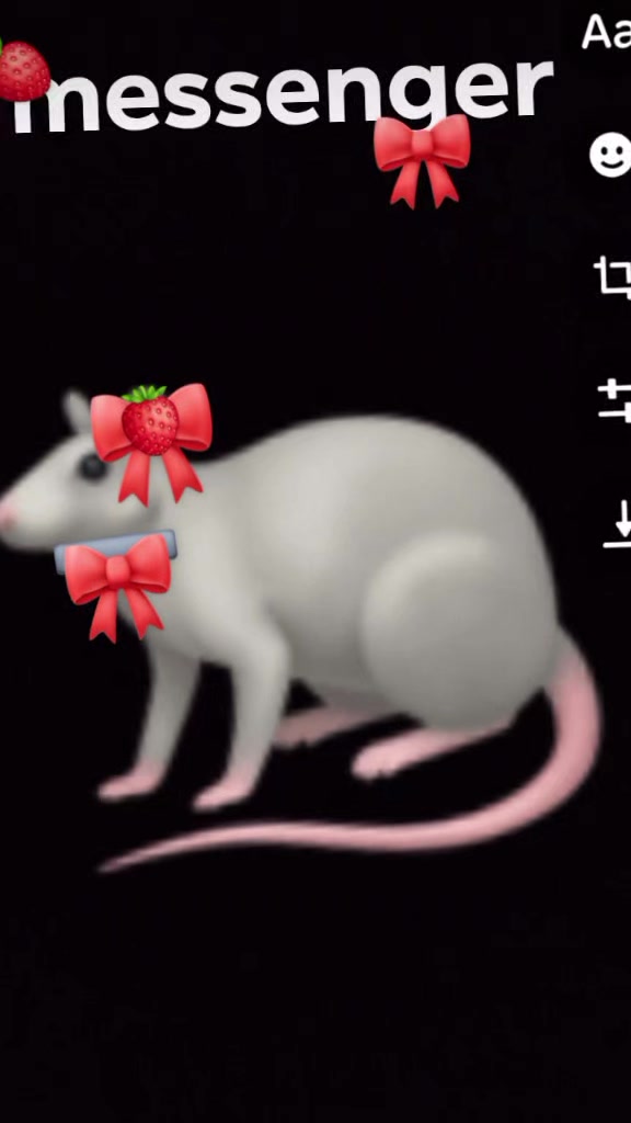 @MOBY🐭✔️🐰❌🐶❌🐱❌ ME✔️YOU❌