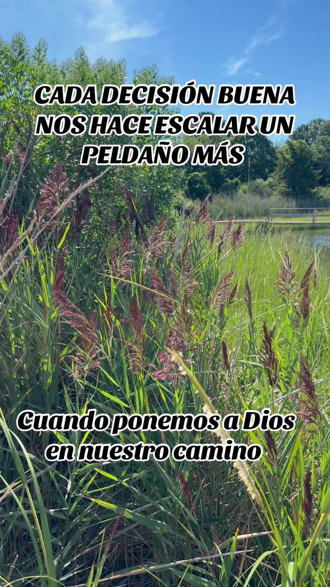 @Adelsomusicacristiana