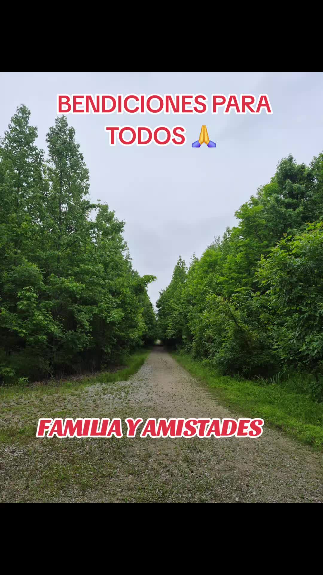 @FERNANDOJR.🐺SANCHEZ🇭🇳PEREZ