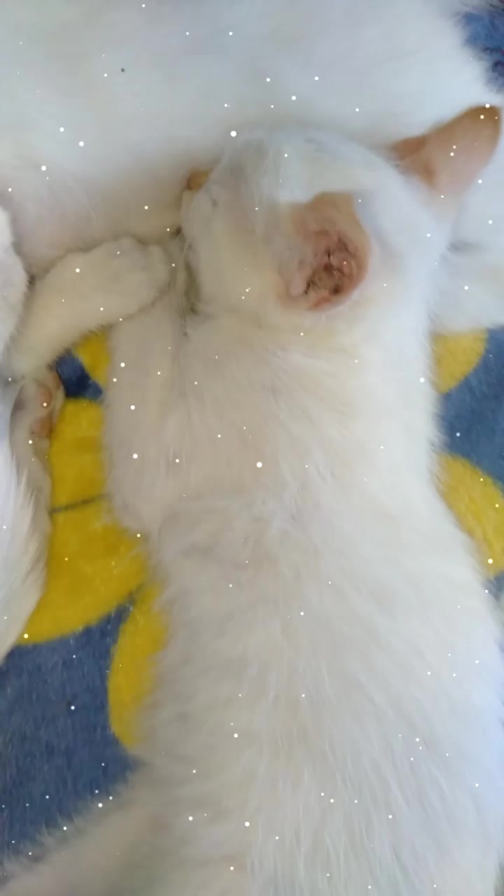 @chertkova Наталья