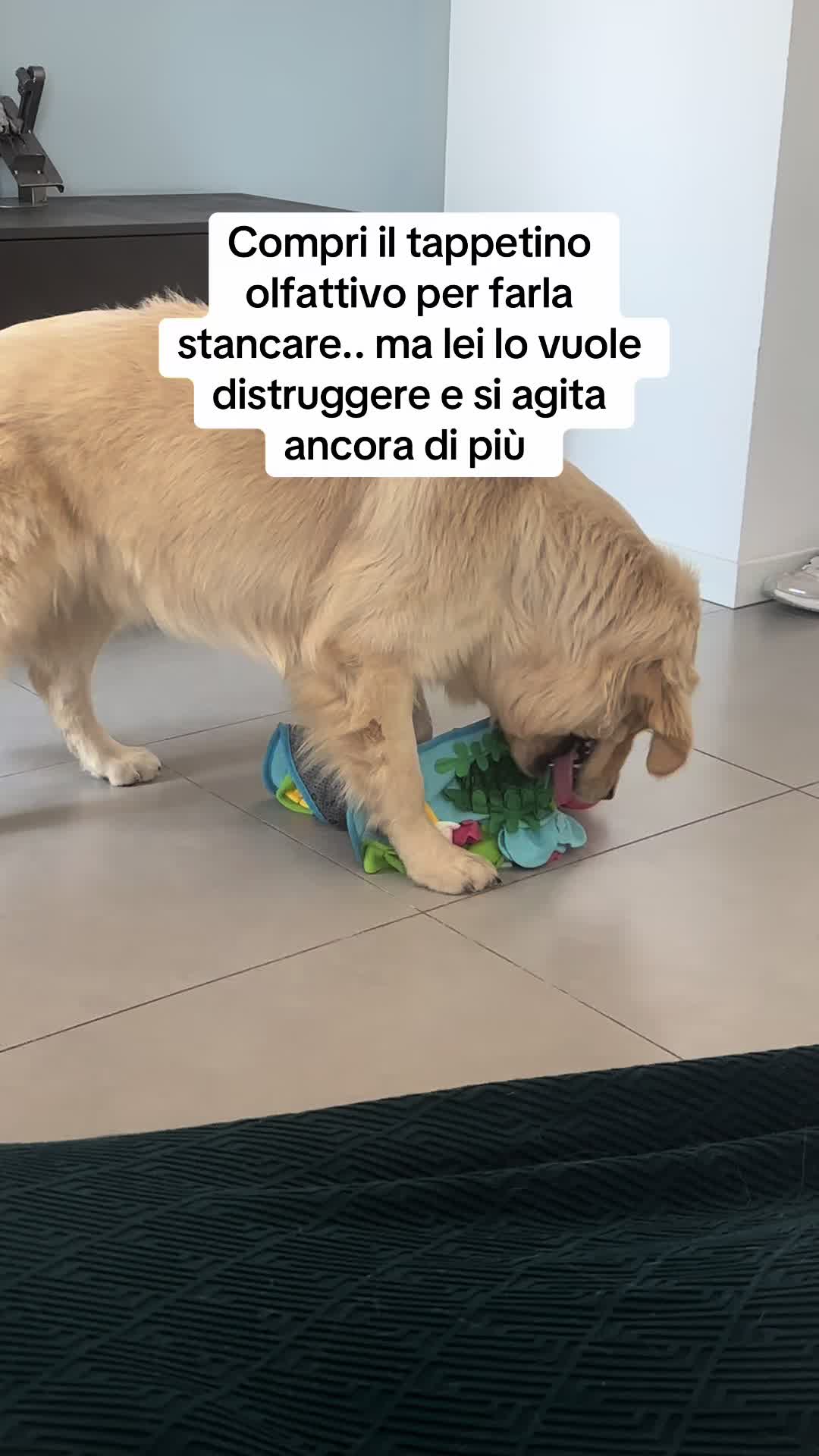 @Raffa&Cali