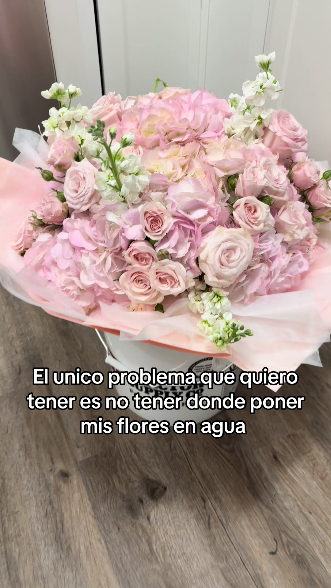 @karina delfin
