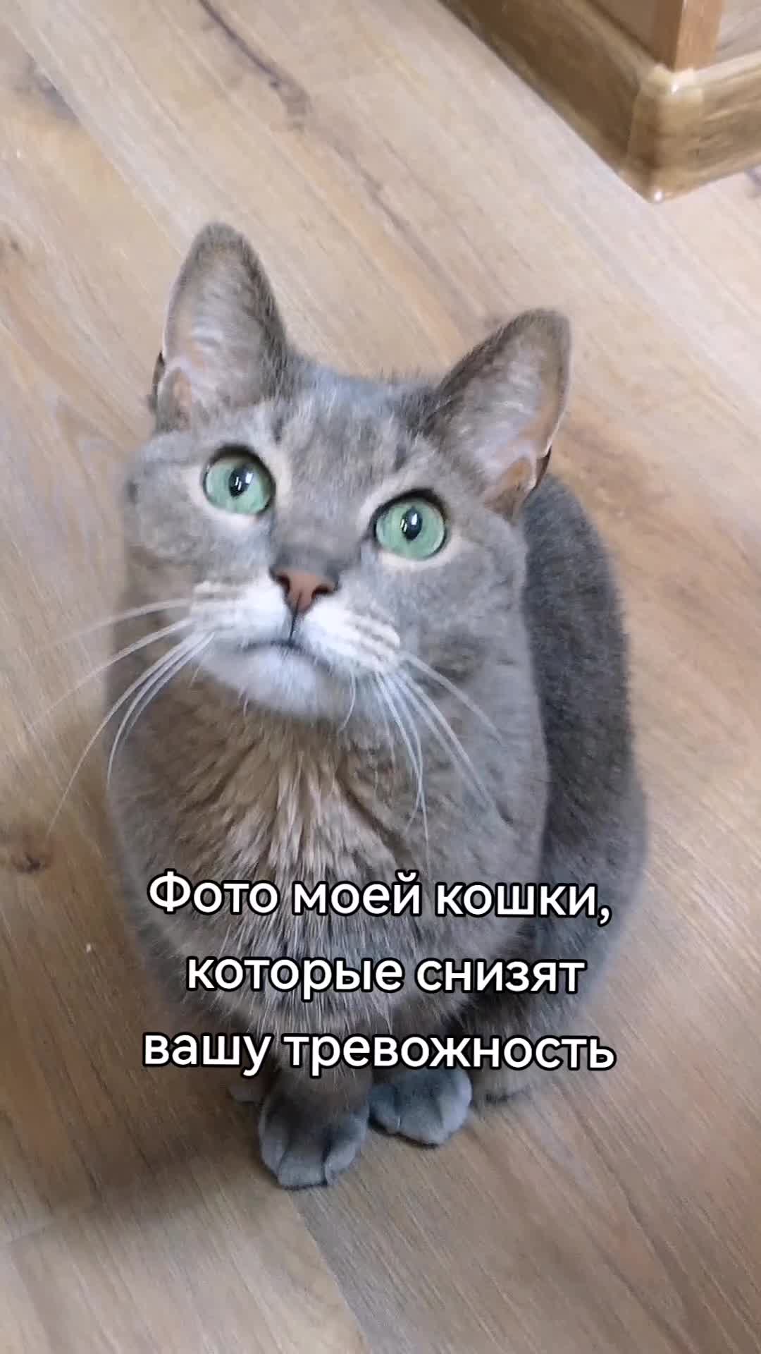 @𝕧𝕒𝕤𝕚𝕝𝕚𝕤𝕒_𝕗𝕠𝕩