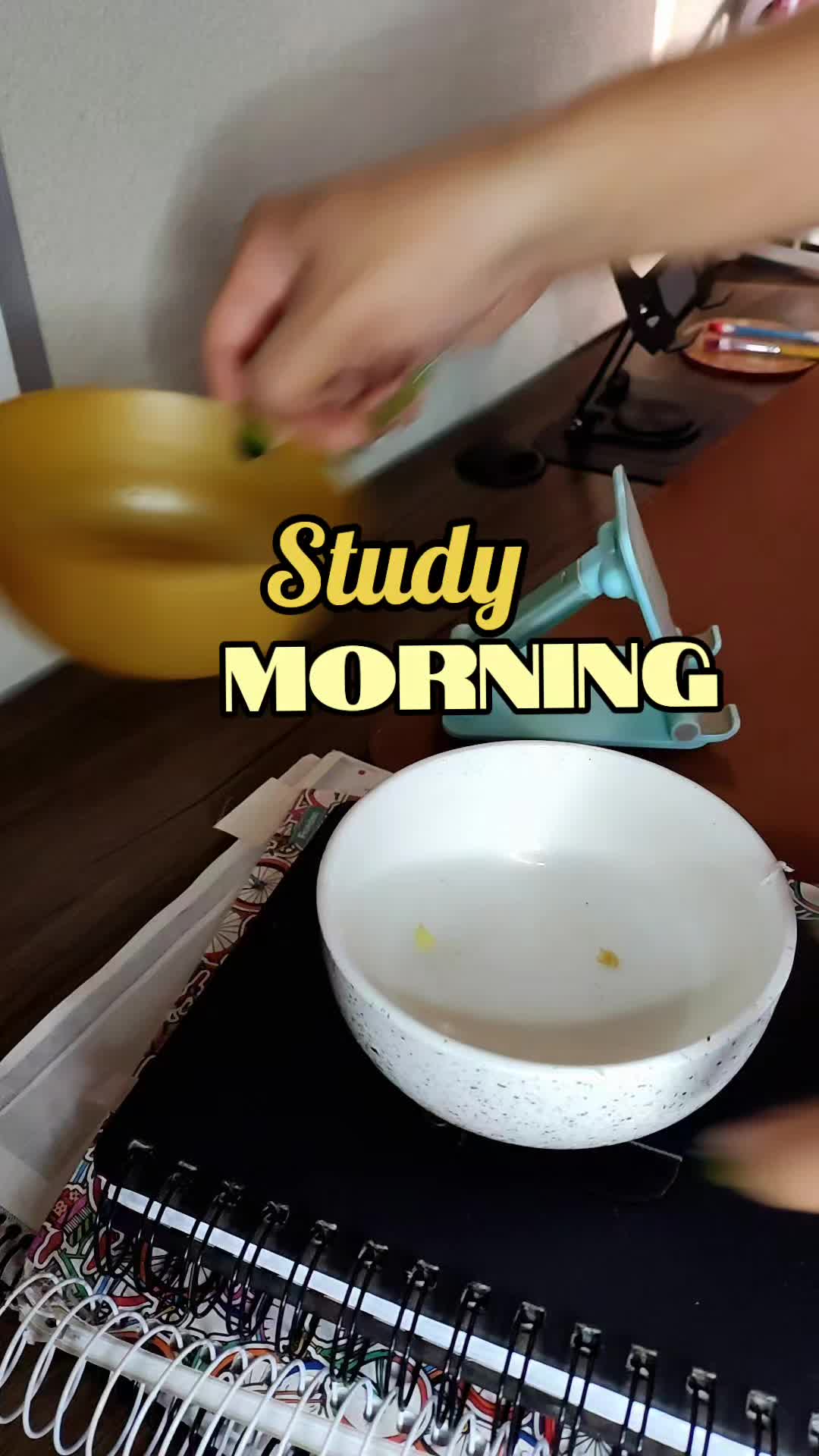 @mystud_