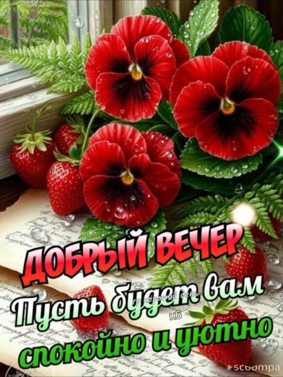 @💫✨️natalia_3✨️💫