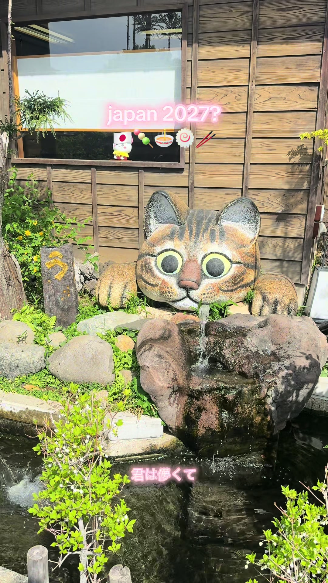 @dana 🇯🇵 репетитор