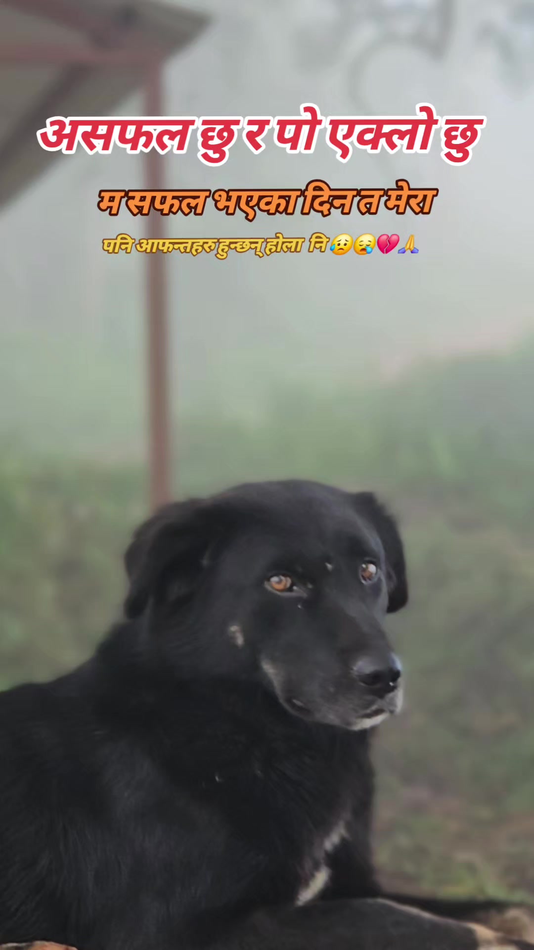 @AASHISH🤗🤗