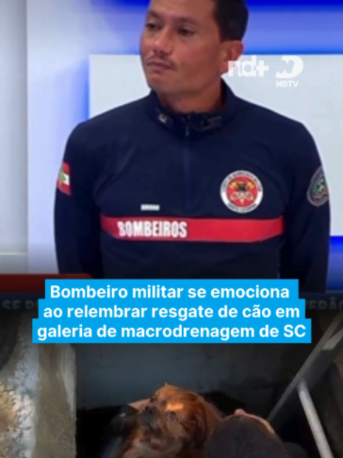 @portalndmais