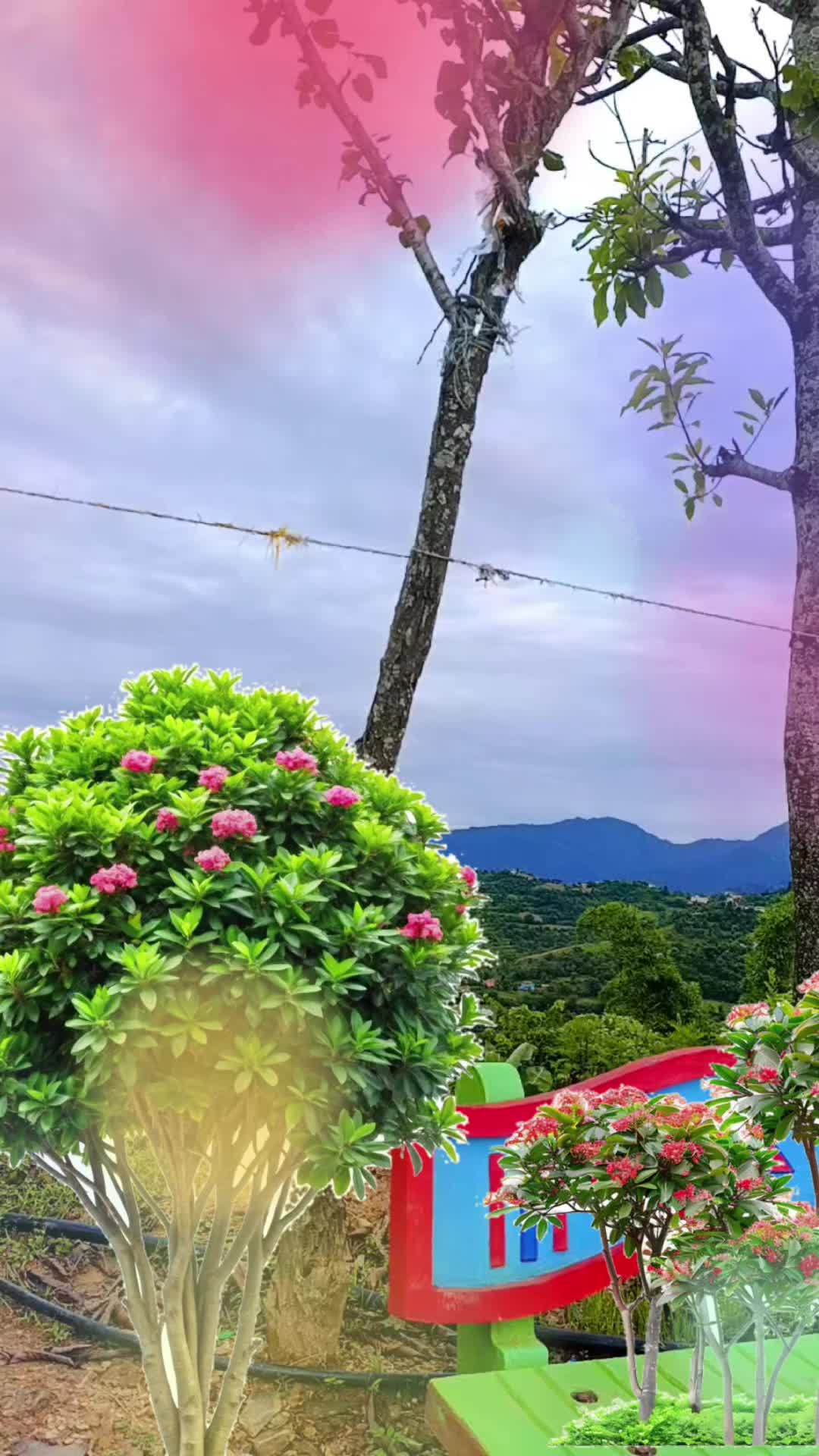 @mandirasharma439