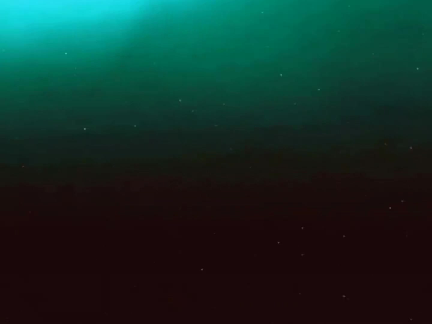 @𝙎𝙥𝙚𝙚𝙙 𝙎𝙤𝙣𝙜𝙨..?