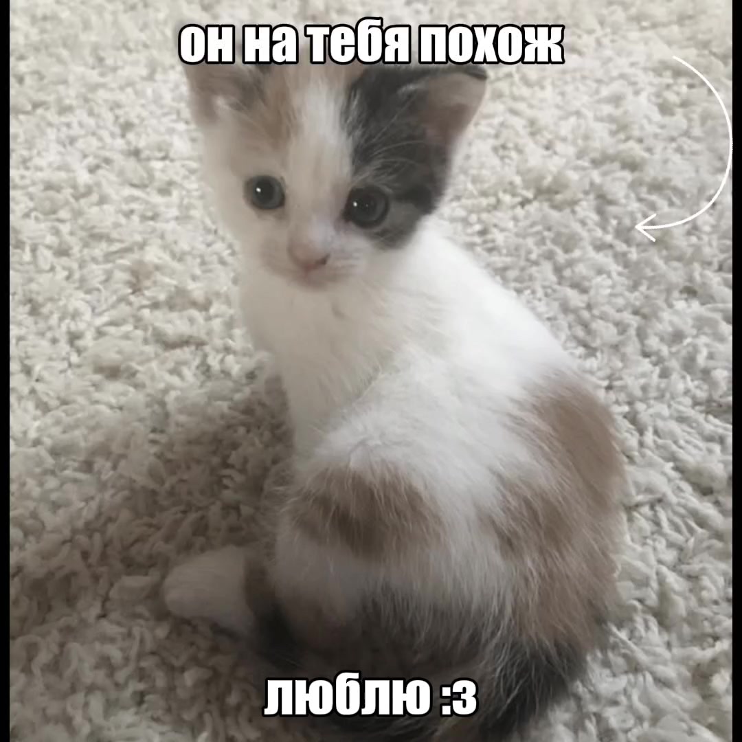 @мама дед инсайдов