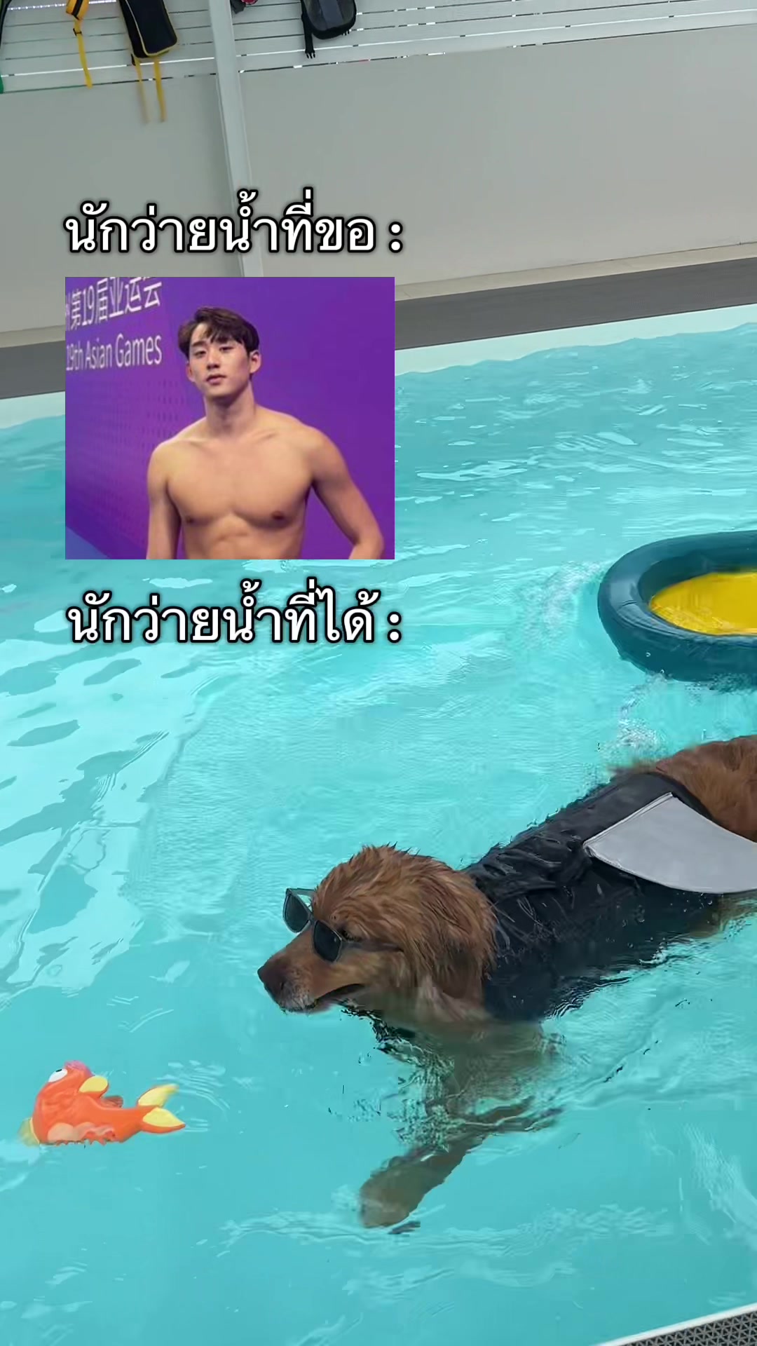 @ตินติน โกเด้นตาเหล๋