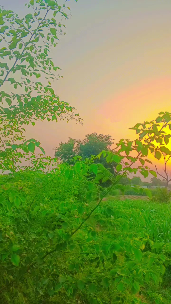 @mohsinraza