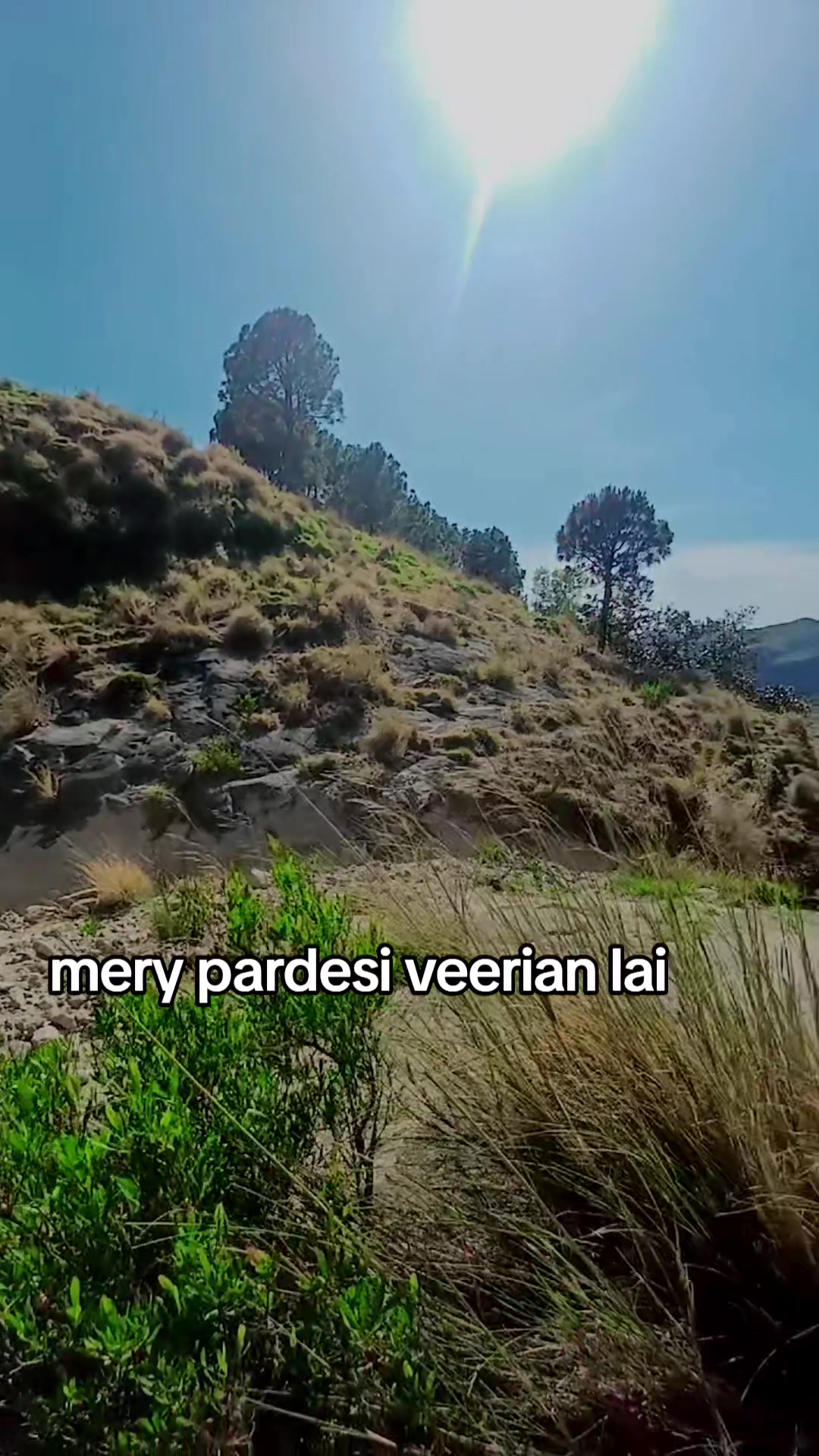 @Tabassum