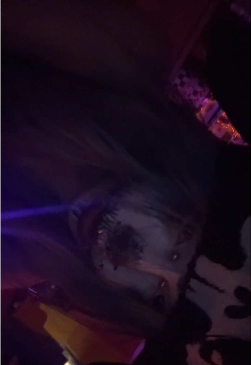 @stillsleepingzzz