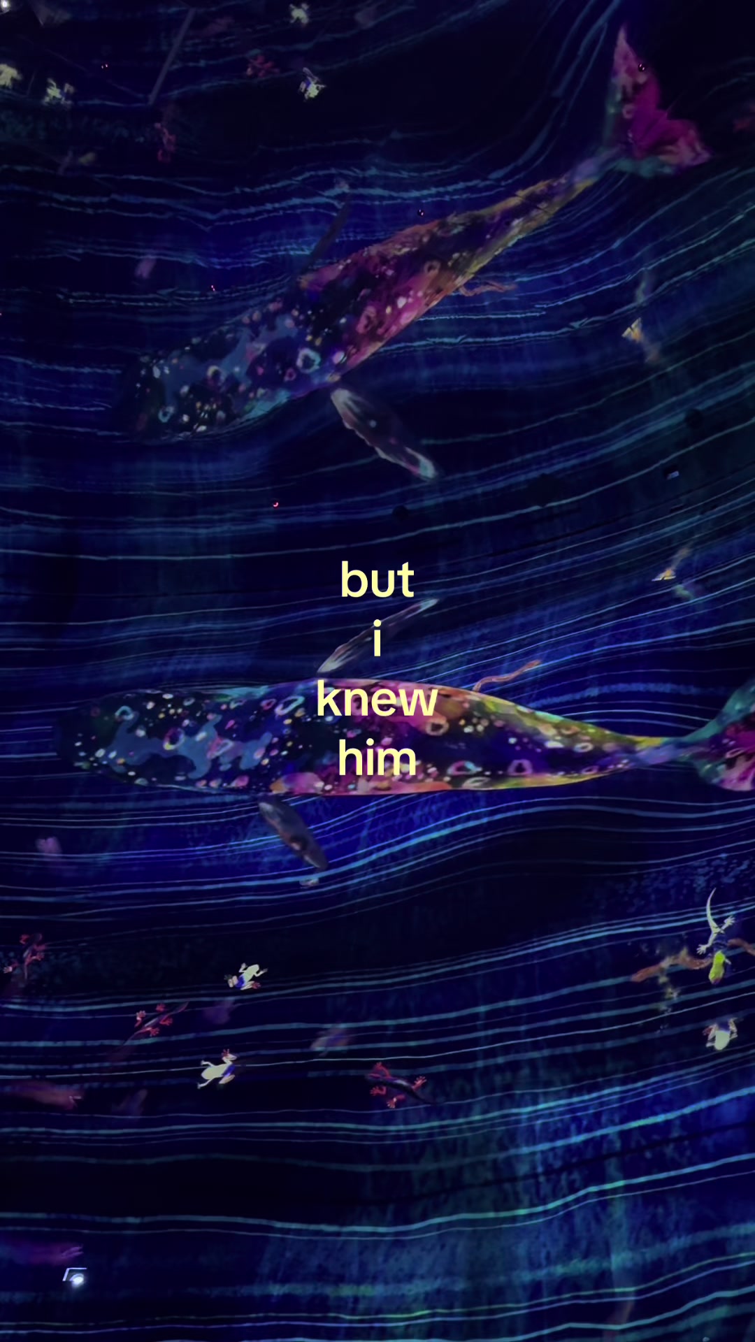 @⋆ ˚。⋆୨lyra୧⋆ ˚。⋆||bruised_soup