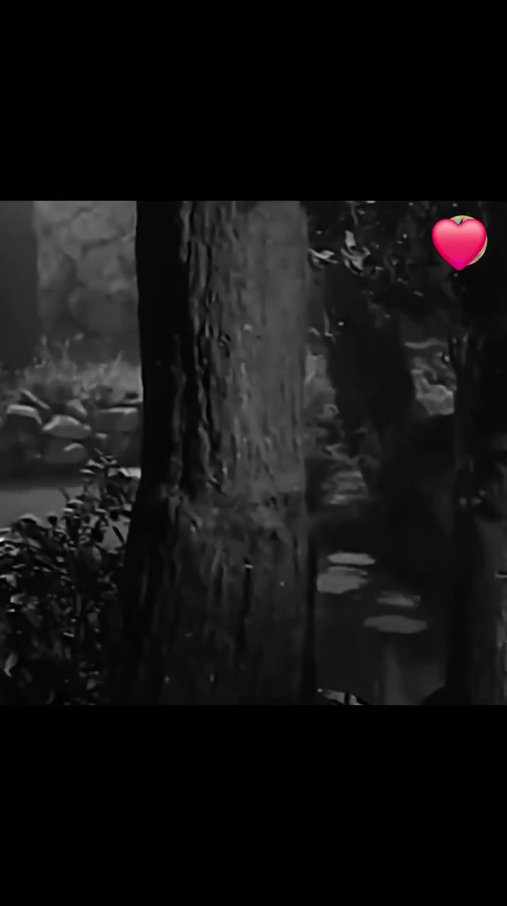 @puraniyaade