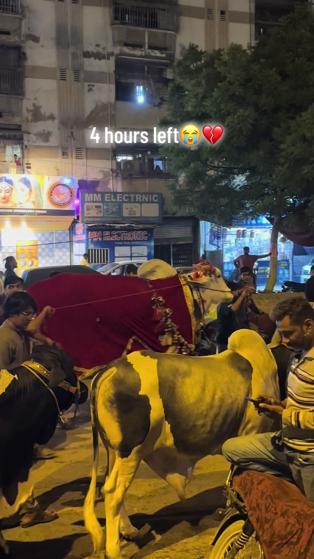 @مد ثر😇