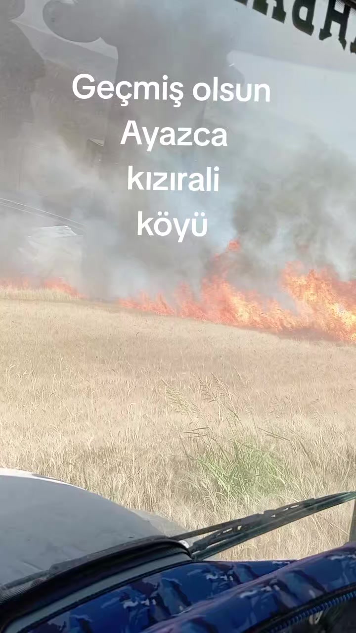 @Nejat Ergin