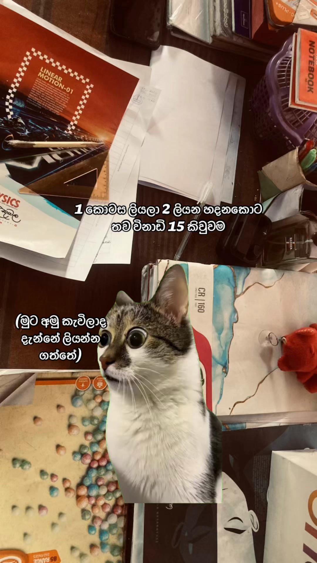 @Vishu Tt โ๏ธ!