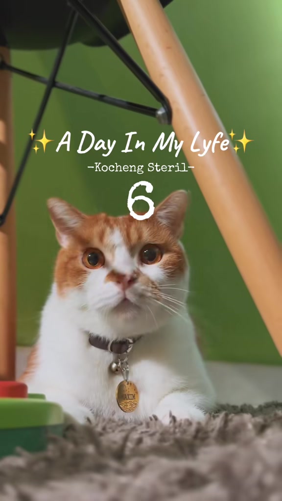 @MEOWOMPONG
