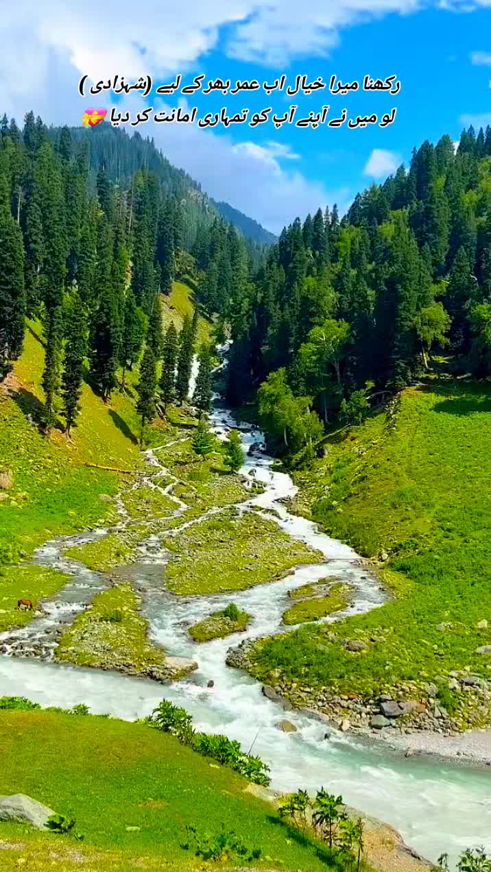 @💫❤️🔥دل کا بادشاہ❤️🔥💫