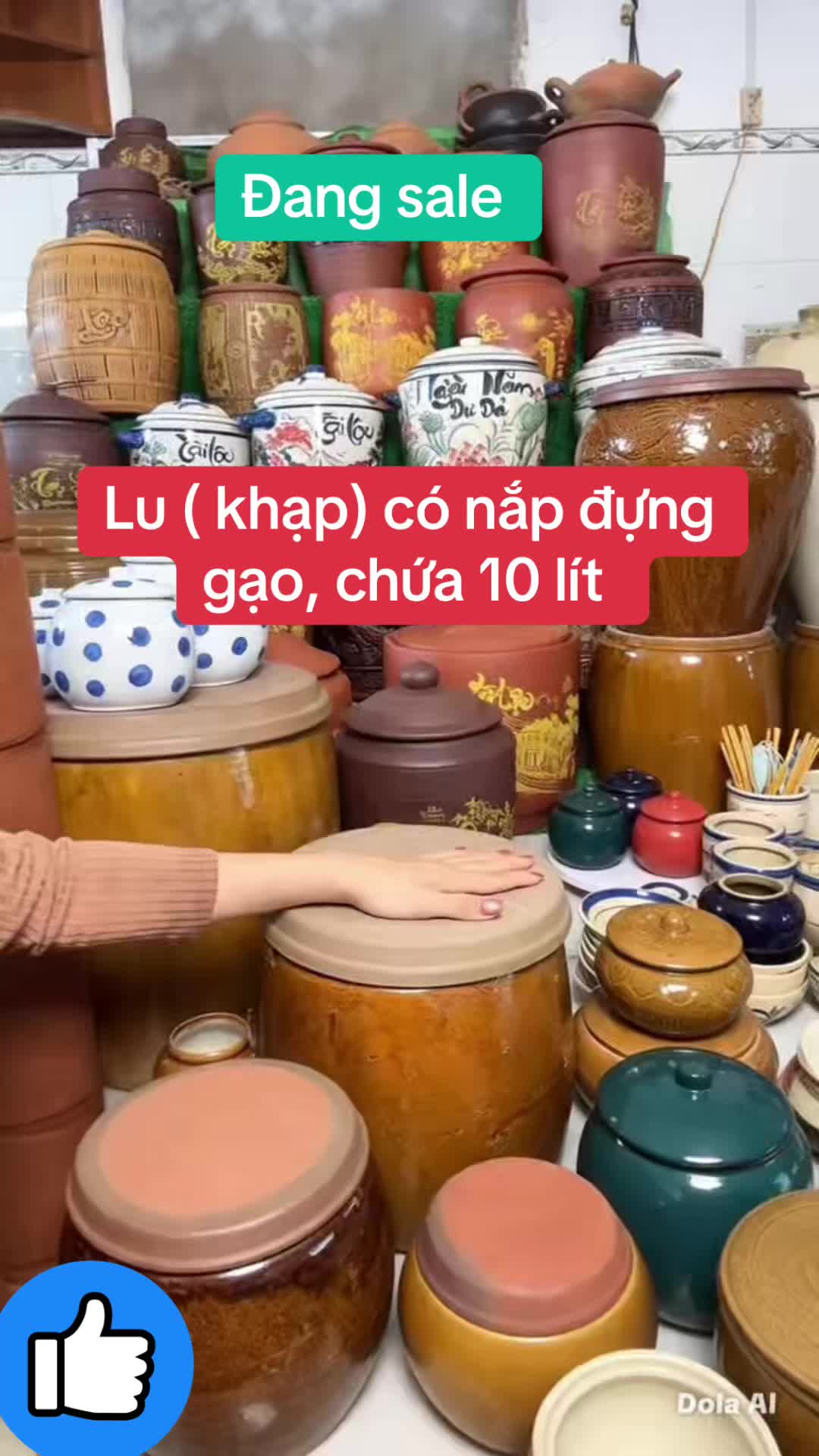 @An An 78
