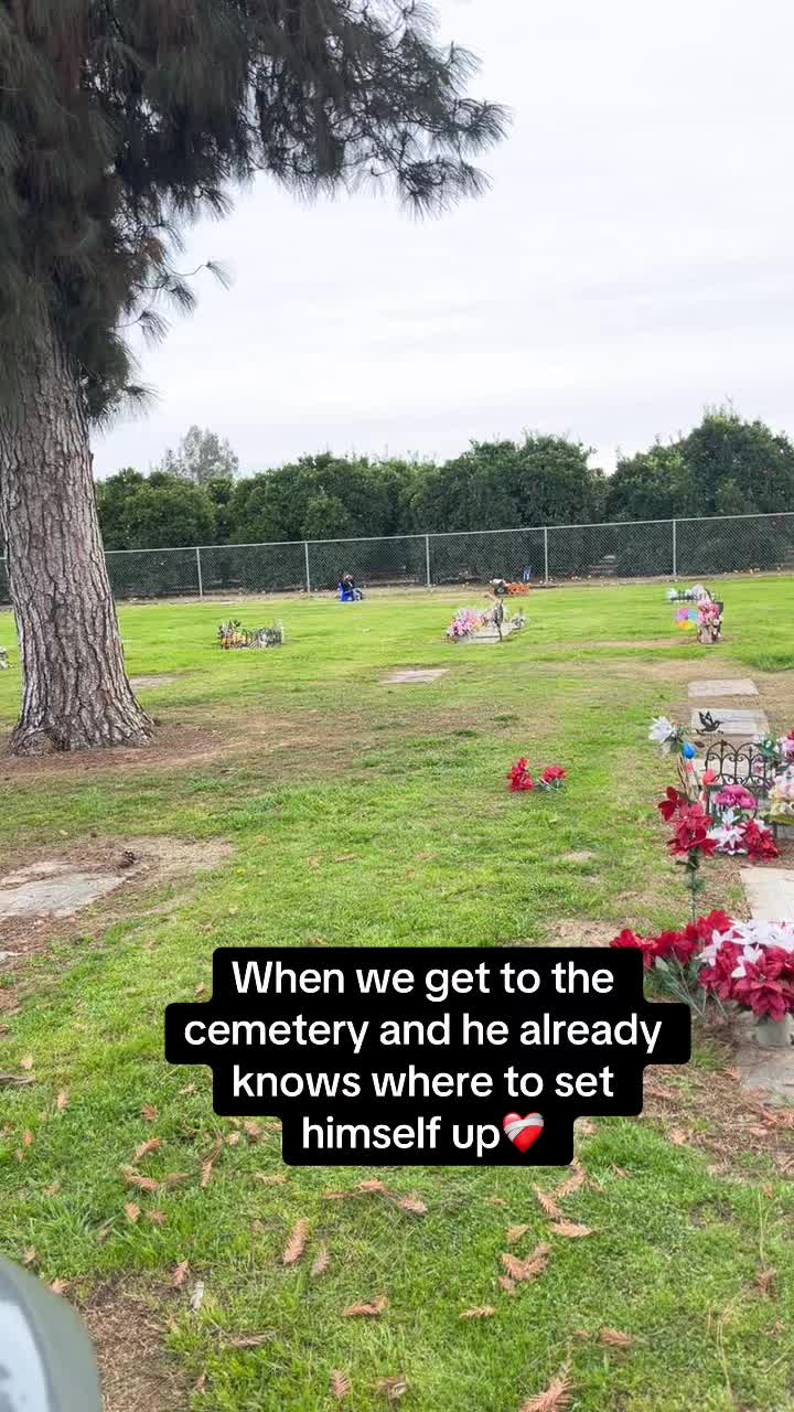 @𝒹.🤍